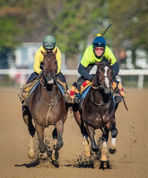 Clement Stable