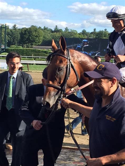 Clement Stable