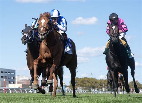 Clement Stable