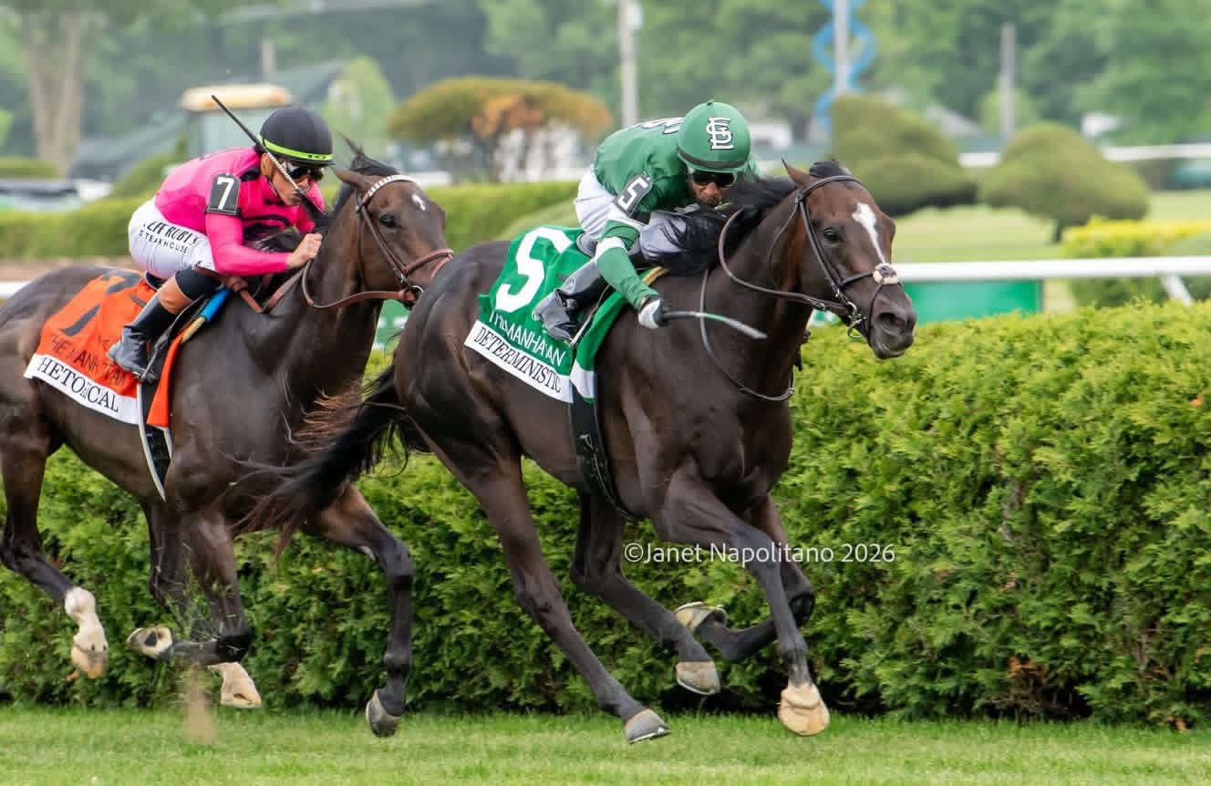 Clement Stable
