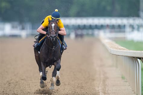 Clement Stable