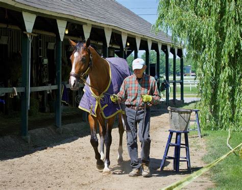 Clement Stable