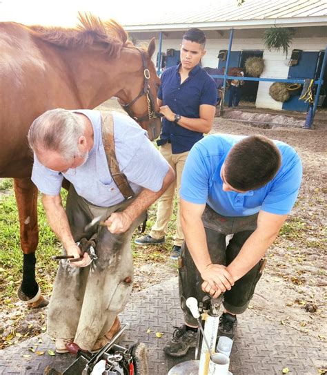 Clement Stable