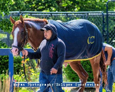 Clement Stable